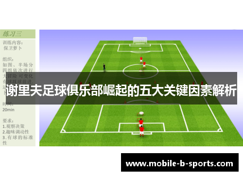 谢里夫足球俱乐部崛起的五大关键因素解析 谢里夫足球俱乐部崛起的五大关键因素解析