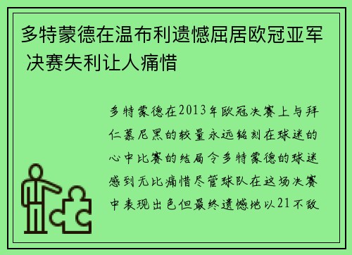 多特蒙德在温布利遗憾屈居欧冠亚军 决赛失利让人痛惜